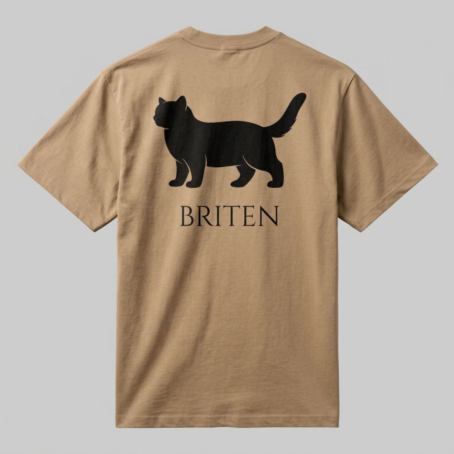BRITEN | The Heavyweight Relaxed Tee