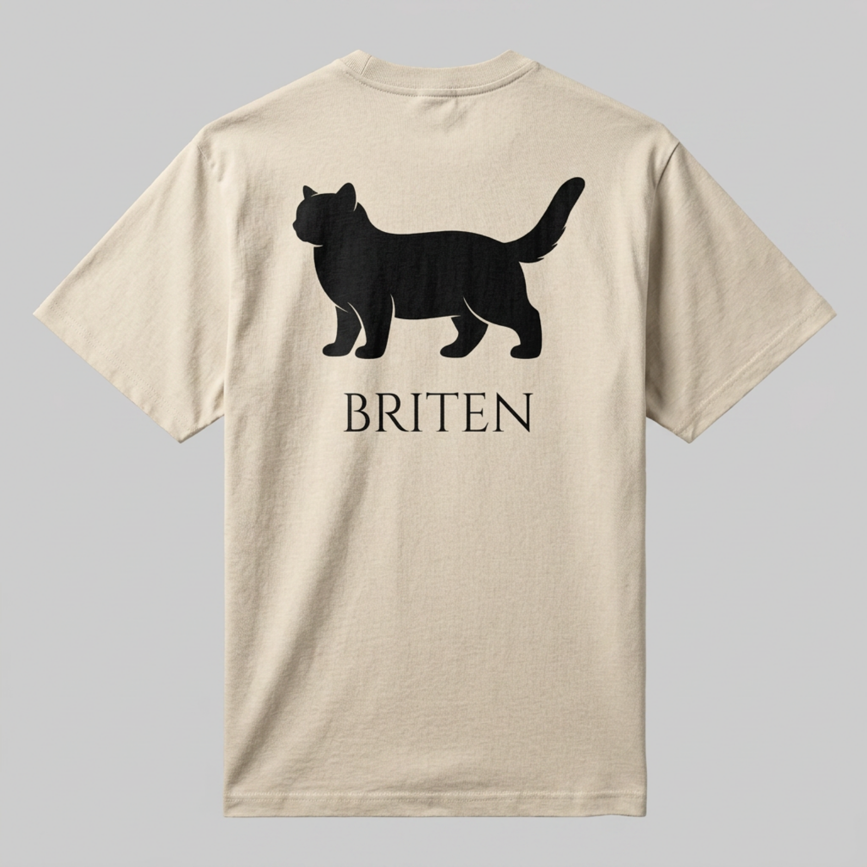 BRITEN | The Heavyweight Relaxed Tee